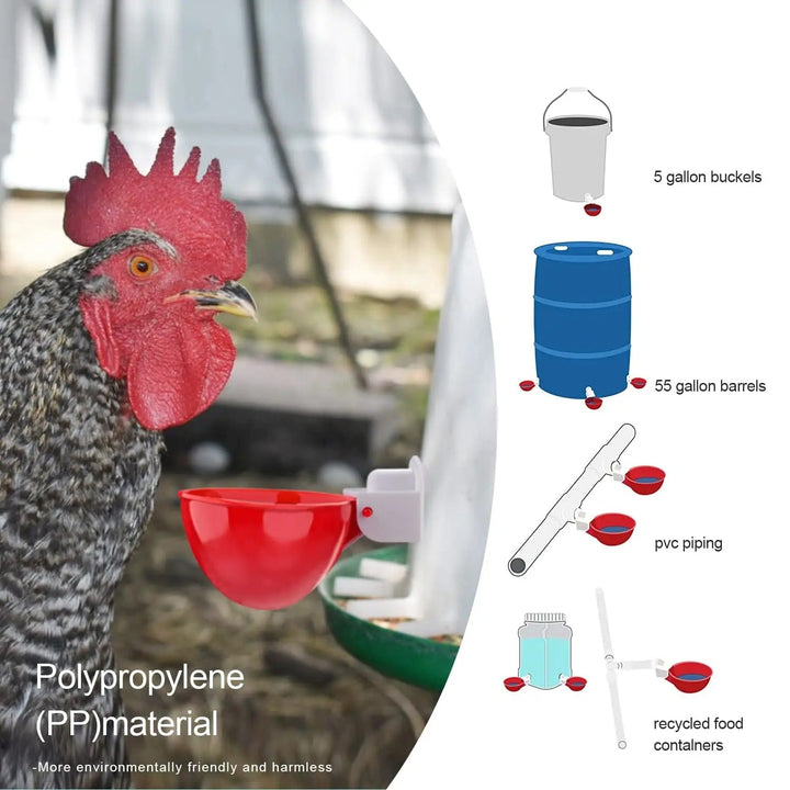 Automatic Chicken Water Cups | Gravity-Fed Poultry Waterer | Leak-Proof PP Drinking Cups | 10 Pack