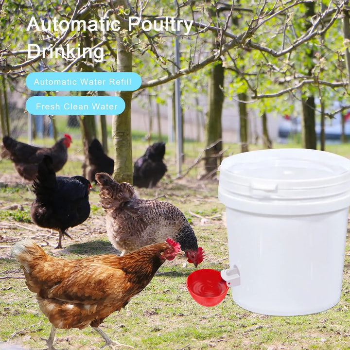 Automatic Chicken Water Cups | Gravity-Fed Poultry Waterer | Leak-Proof PP Drinking Cups | 10 Pack