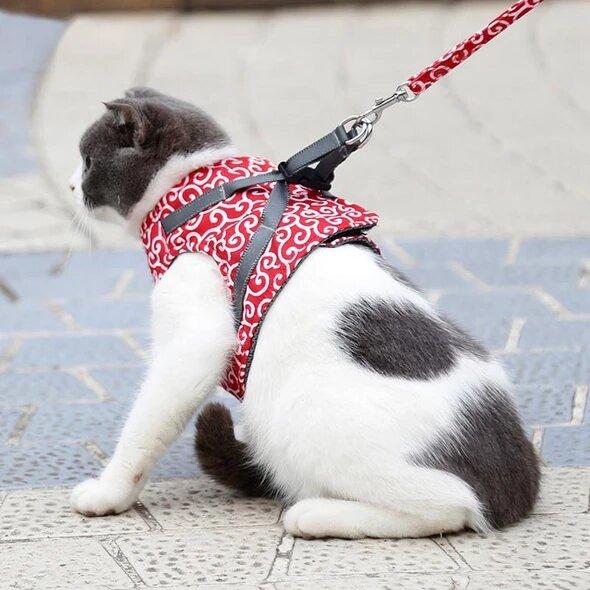 Cat Harness &amp; Leash Set | Escape-Proof Adjustable Vest | Breathable Comfort Fit