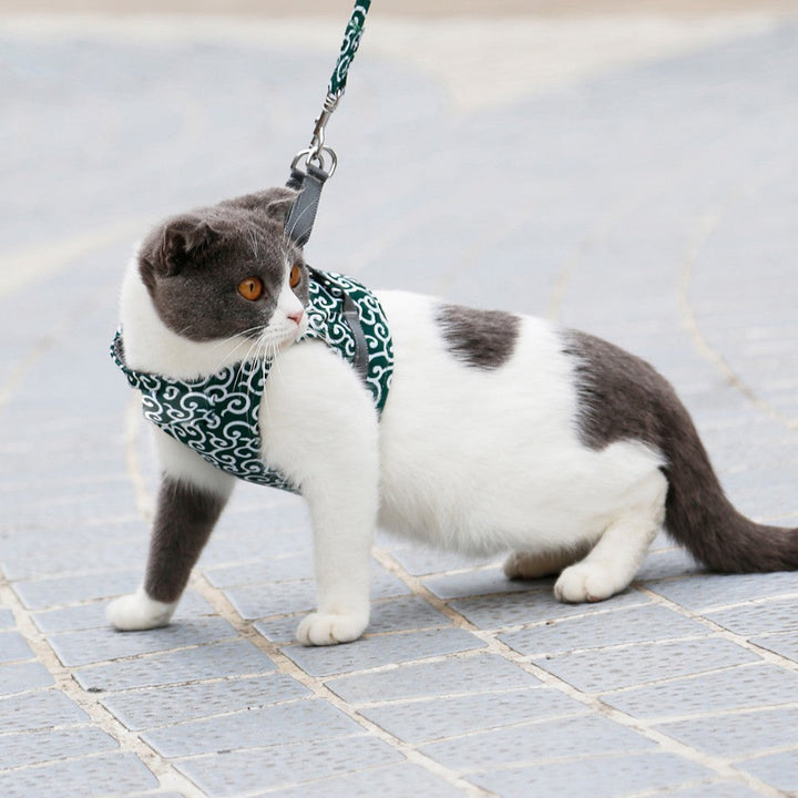 Cat Harness &amp; Leash Set | Escape-Proof Adjustable Vest | Breathable Comfort Fit