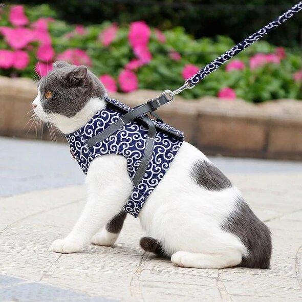 Cat Harness &amp; Leash Set | Escape-Proof Adjustable Vest | Breathable Comfort Fit