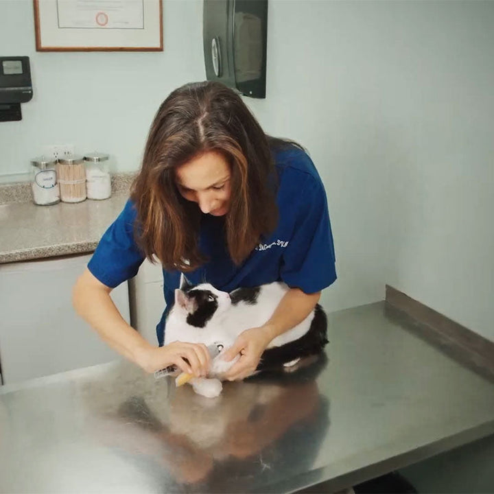 Pet Nail Clipper | Safety Sensor Guard | Precision Stainless Steel Blades