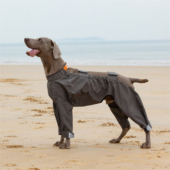 Dog Raincoat | Waterproof Four-Leg Design | Reflective Hooded Full Coverage Jacket
