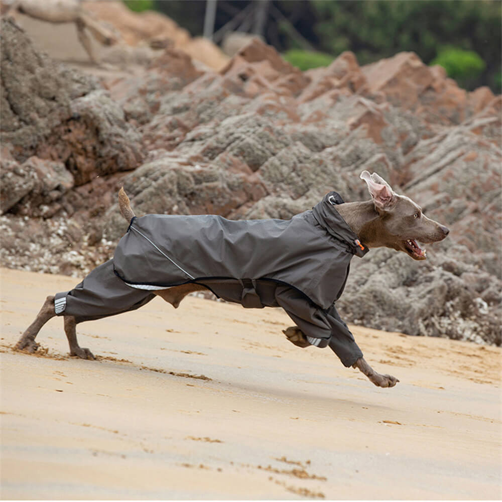 Dog Raincoat | Waterproof Four-Leg Design | Reflective Hooded Full Coverage Jacket