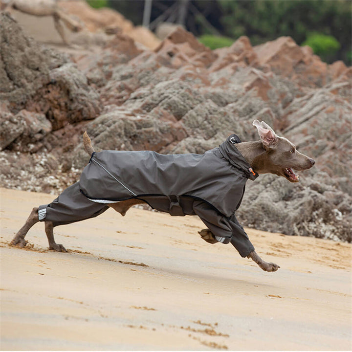 Dog Raincoat | Waterproof Four-Leg Design | Reflective Hooded Full Coverage Jacket