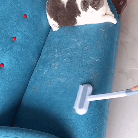 Pet Hair Remover Brush | 3-in-1 Reusable Lint Cleaner | Carpet &amp; Furniture Hair Removal