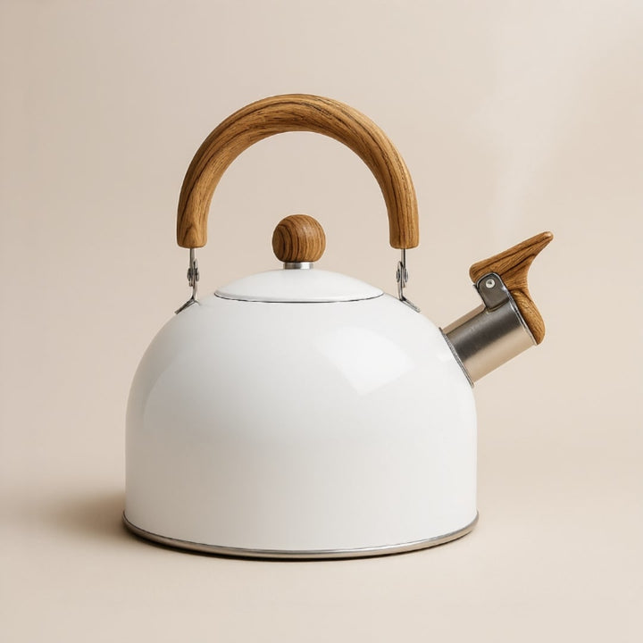 Stovetop Kettle for Induction & Gas | Retro Design
