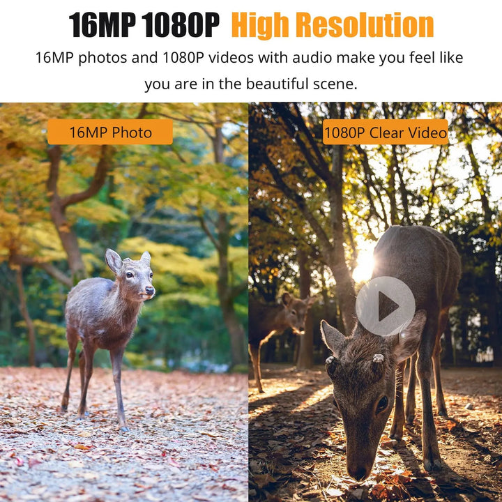 Trail Camera | 16MP Night Vision | 1080P Wildlife Monitoring Camera with 0.6s Trigger &amp; IP66 Waterproof