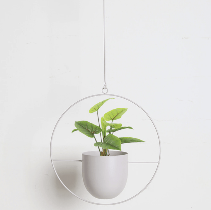 Wall Plant Hanger | Adjustable Hanging Chain | Iron Planter Holder for Vertical Indoor Display