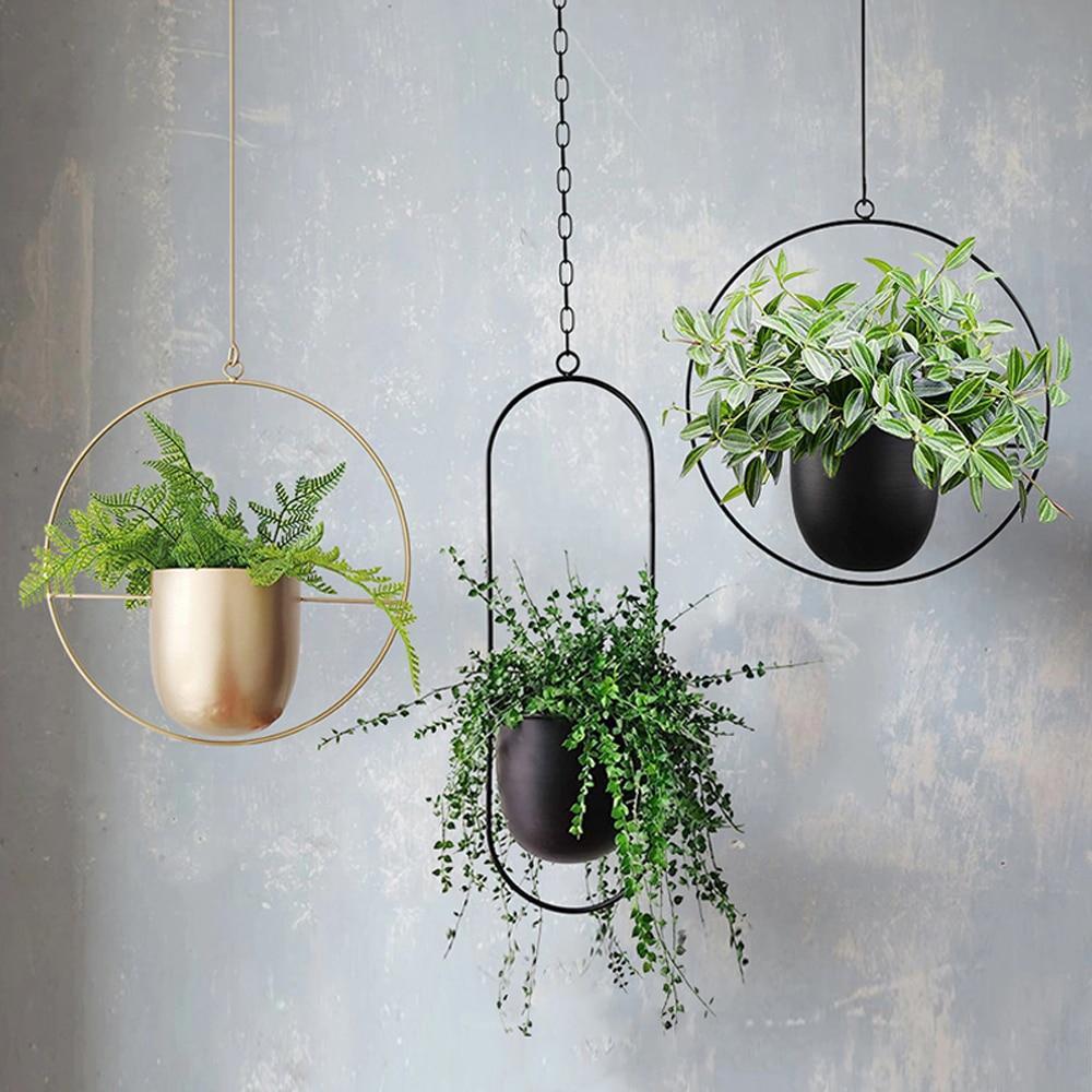 Wall Plant Hanger | Adjustable Hanging Chain | Iron Planter Holder for Vertical Indoor Display