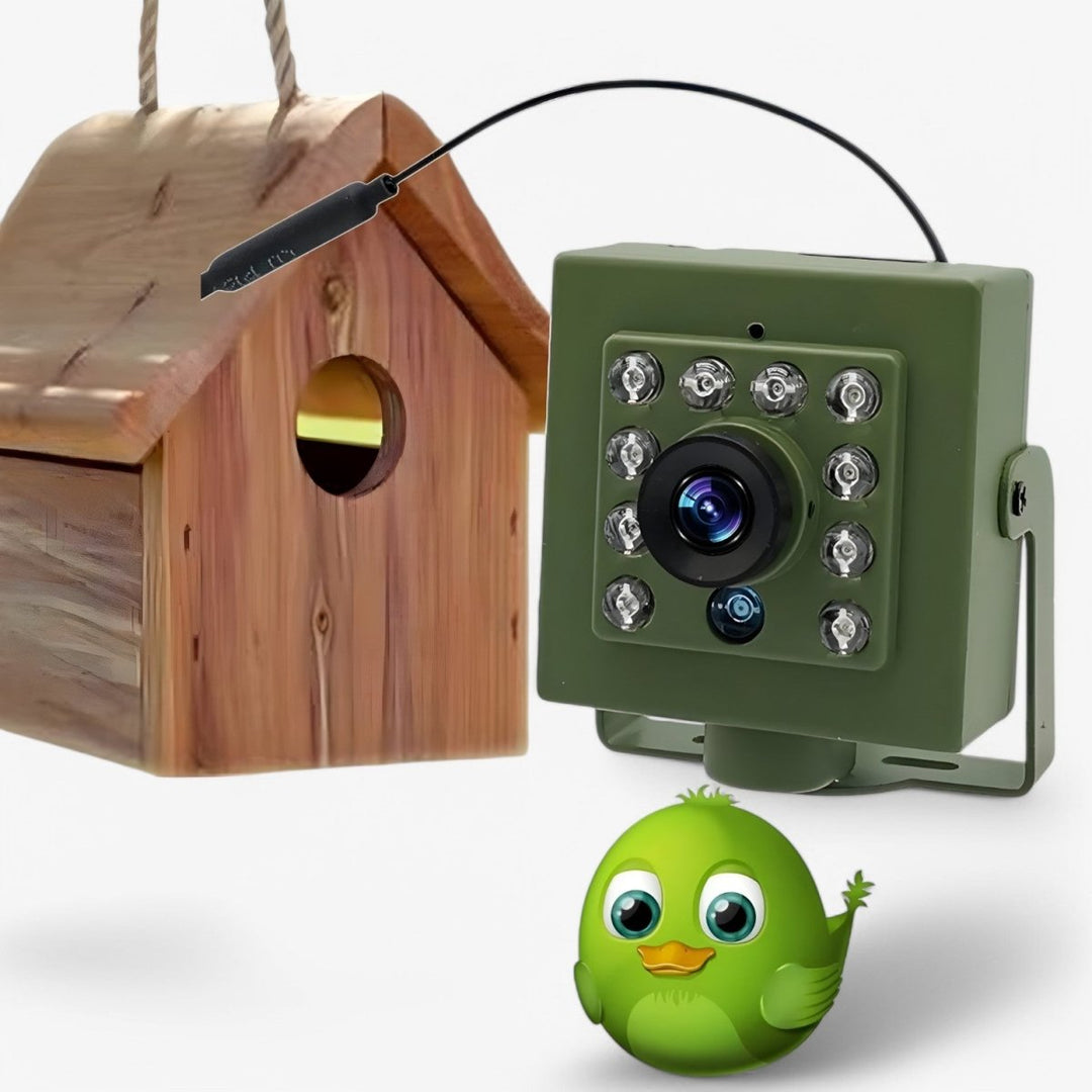 Wildlife Camera | 1080P HD Night Vision | WiFi Bird Watching Camera with Motion Detection &amp; Remote Access