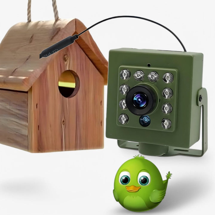 Wildlife Camera | 1080P HD Night Vision | WiFi Bird Watching Camera with Motion Detection &amp; Remote Access